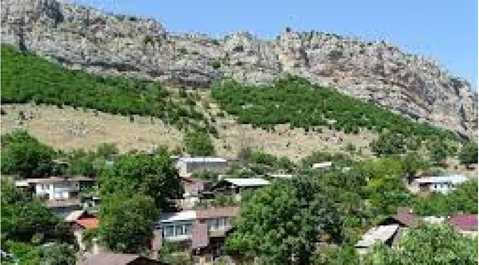 dashalti-dovlet-tebiet-yasaqliginin-fealiyyeti-berpa-edilir