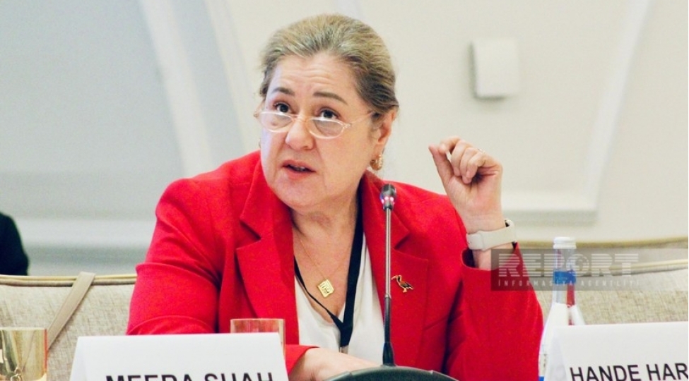 ust-numayendesi-cop29-qlobal-qerarlarin-qebulu-baximindan-muhum-hadisedir