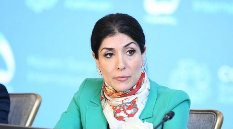 nigar-arpadarai-iqlim-meselelerinin-helline-biznesin-celb-edilmesi-cop29-uchun-prioritetdir