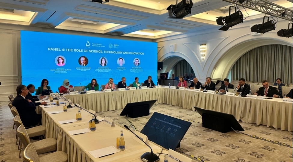 cop29-a-aparan-yol-dayaniqli-ve-davamli-gelecek-bashliqli-yuksek-seviyyeli-toplantisinin-ikinci-gunu-kechirilir