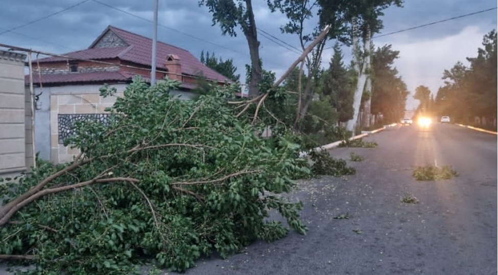 azerishiq-guclu-kuleyin-elektrik-enerjisi-teserrufatina-vurdugu-ziyan-aradan-qaldirilir