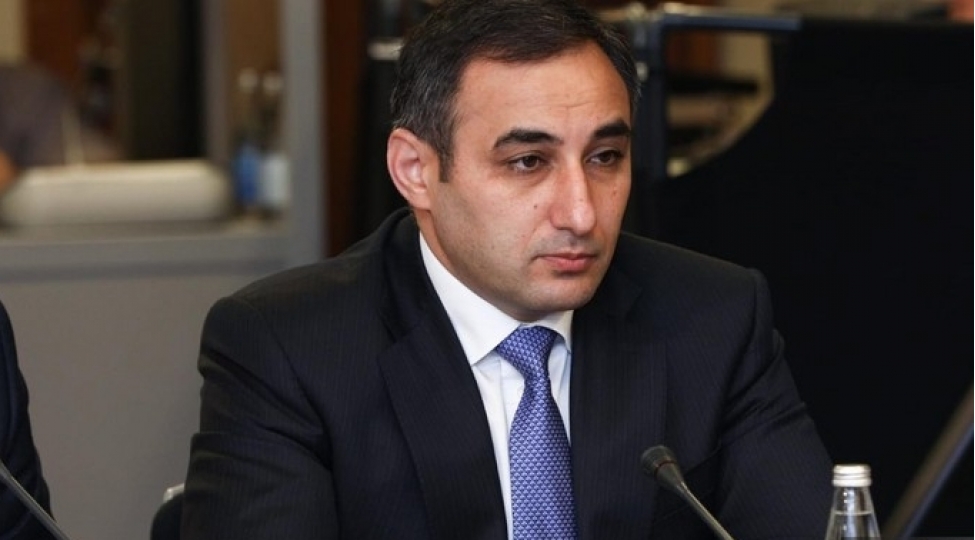 nazir-muavini-ishgaldan-azad-edilmish-erazilerde-heyvanlar-peyvend-edilir