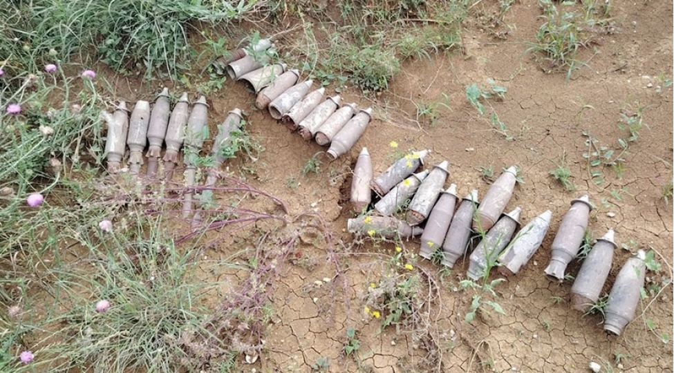 xocalida-xeyli-sayda-doyush-sursati-ashkarlanib-video