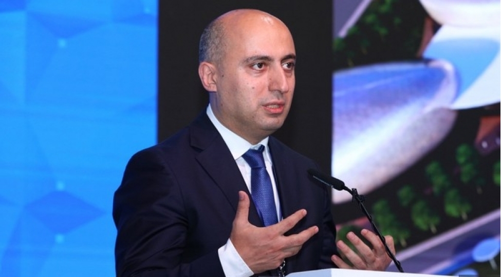 emin-emrullayev-qarabag-universitetinin-konsepti-tesdiqlenib