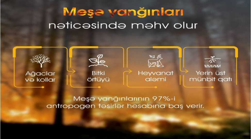 fhn-etsn-ve-ktn-ehaliye-birge-muraciet-edib