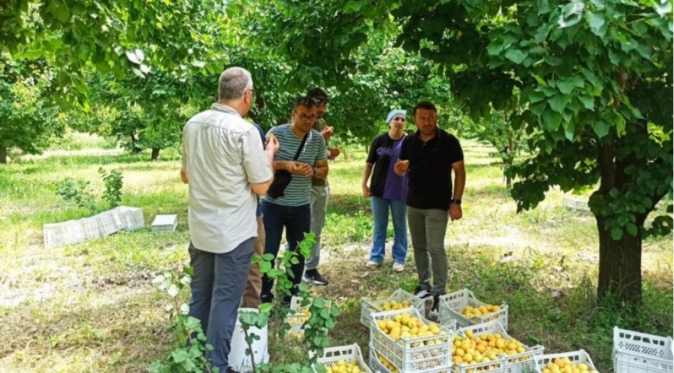 azerbaycan-ve-turkiyenin-elmi-tedqiqat-institutlari-birge-layihe-heyata-kechirirler
