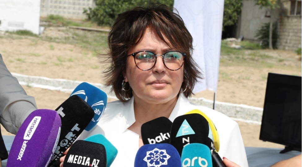 bu-melumatlarin-vacibliyi-ondan-ibaretdir-ki-umayra-tagiyeva