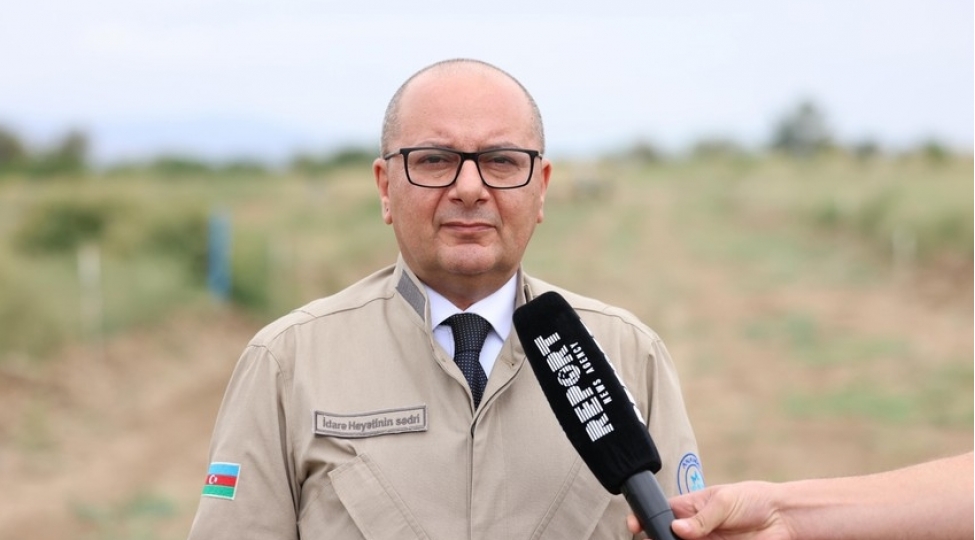 veten-muharibesinden-indiyedek-377-nefer-minalarin-qurbani-olub