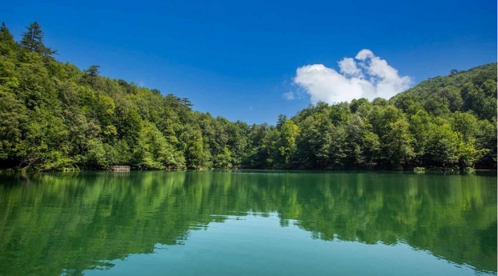 milli-parklarda-gozlenilen-hava-sheraiti-achiqlanib
