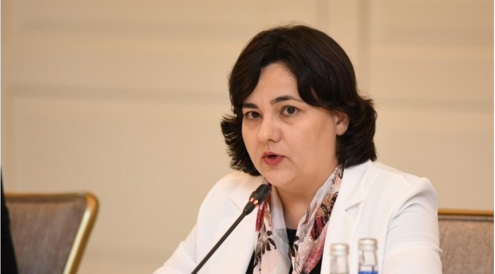 son-5-ilde-suvarma-sistemlerinin-qurulmasina-93-milyon-manat-subsidiya-ayrilib-ilhame-qedimova