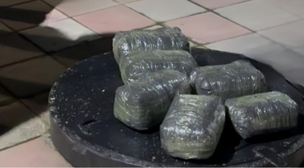 polis-emekdashlari-bir-gunde-664-kiloqramdan-chox-narkotik-vasite-ashkarlayib