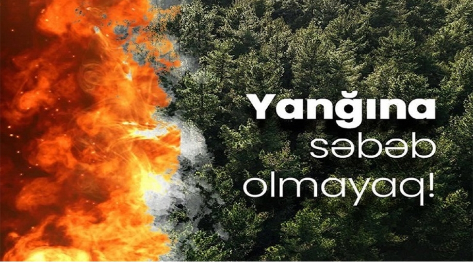 nazirlik-meshe-yanginlari-ile-bagli-ehaliye-muraciet-edib