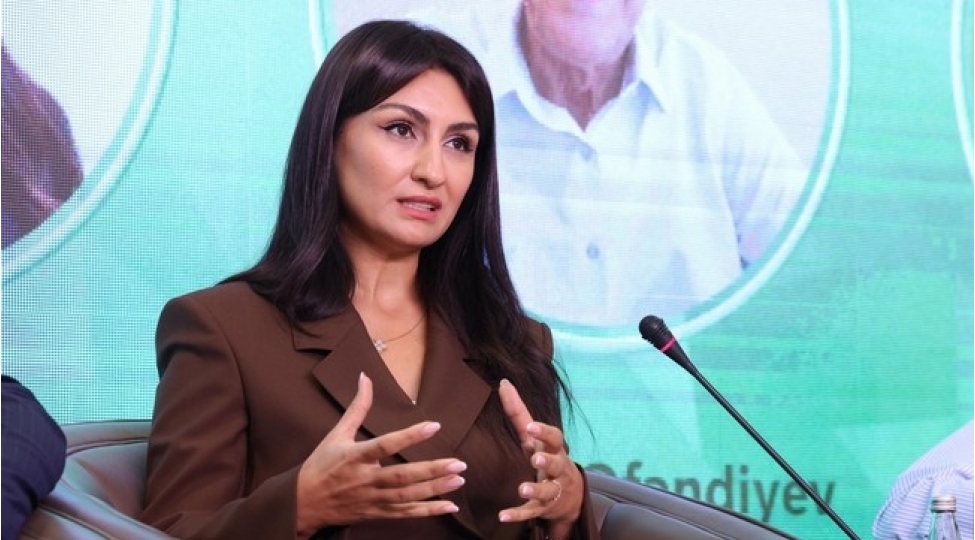 yashil-iqtisadiyyata-kechid-yalniz-aqressiv-vergiqoyma-siyaseti-ile-olmur-samire-musayeva