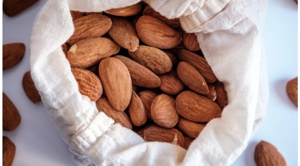 badam-xolesterolu-salmaga-komek-edir