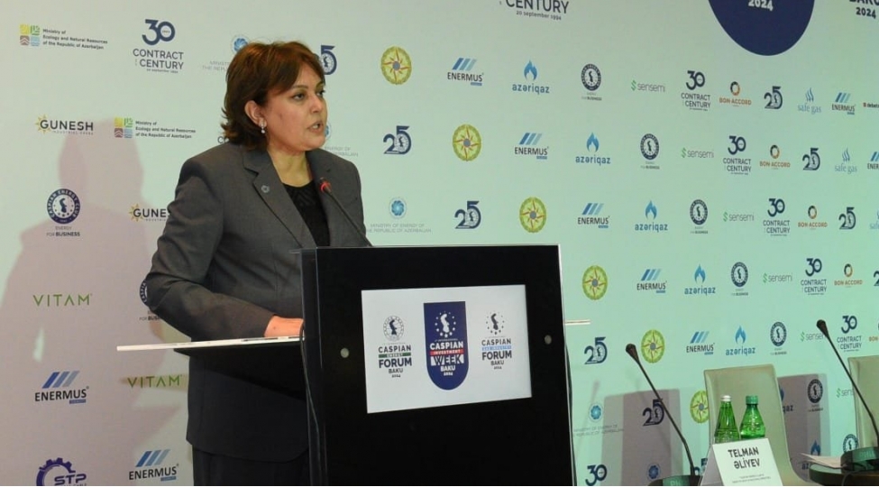 umayra-tagiyeva-cop29-da-uzun-illerdir-achiq-qalan-iqlim-maliyyesi-uzre-razilashma-elde-olunmalidir