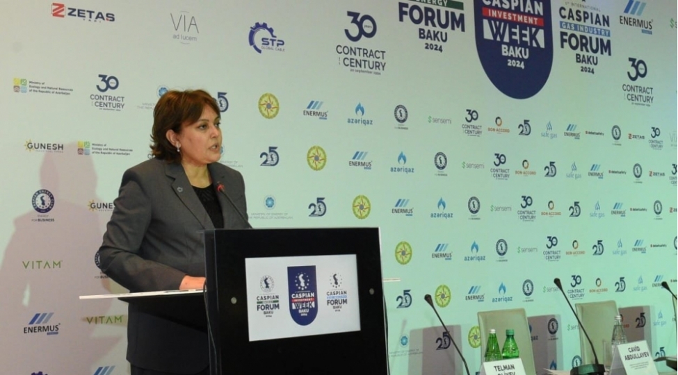 azerbaycan-chirklenmish-erazilerin-ekoloji-veziyyetinin-yaxshilashdirilmasi-ishlerine-bashlayib-umayra-tagiyeva