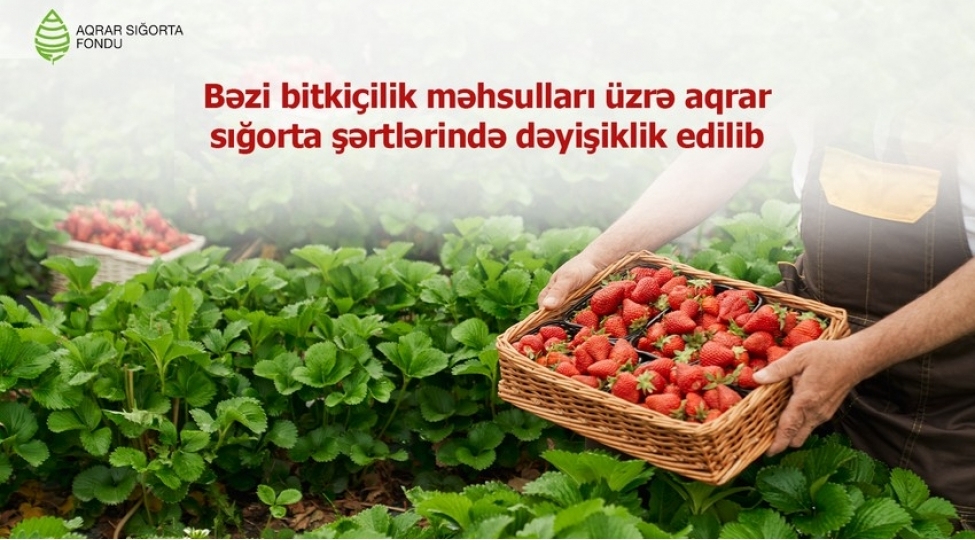 azerbaycanda-bezi-bitkichilik-mehsullari-uzre-aqrar-sigorta-shertleri-deyishib