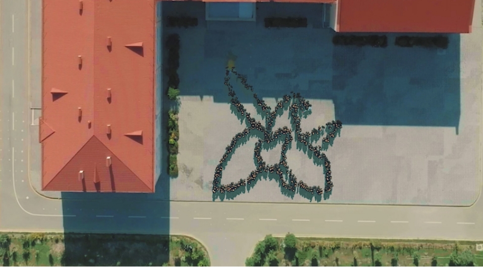 anim-gunu-ile-elaqedar-fleshmob-teshkil-olunub