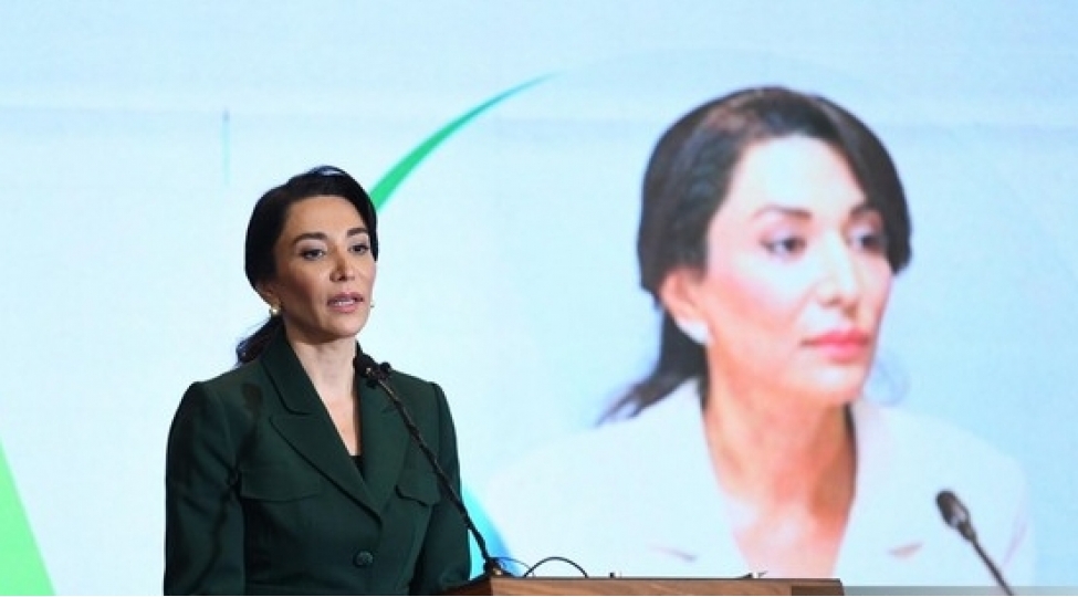 qlobal-iqlim-deyishikliyi-insan-huquqlarinin-mudafiesi-ve-temini-baximindan-chetinlikler-yaradir