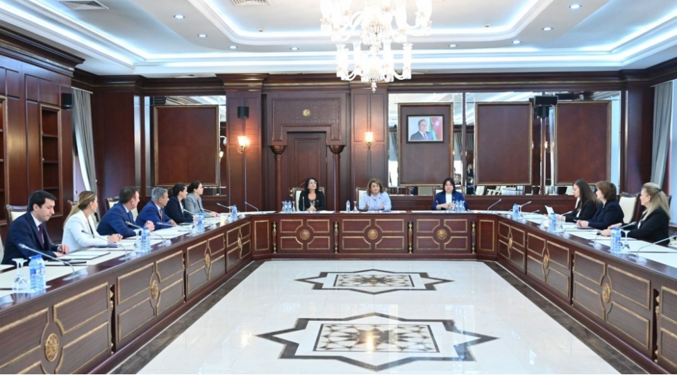 aile-qadin-ve-ushaq-meseleleri-komitesinin-payiz-sessiyasinda-ilk-iclasi-kechirilib