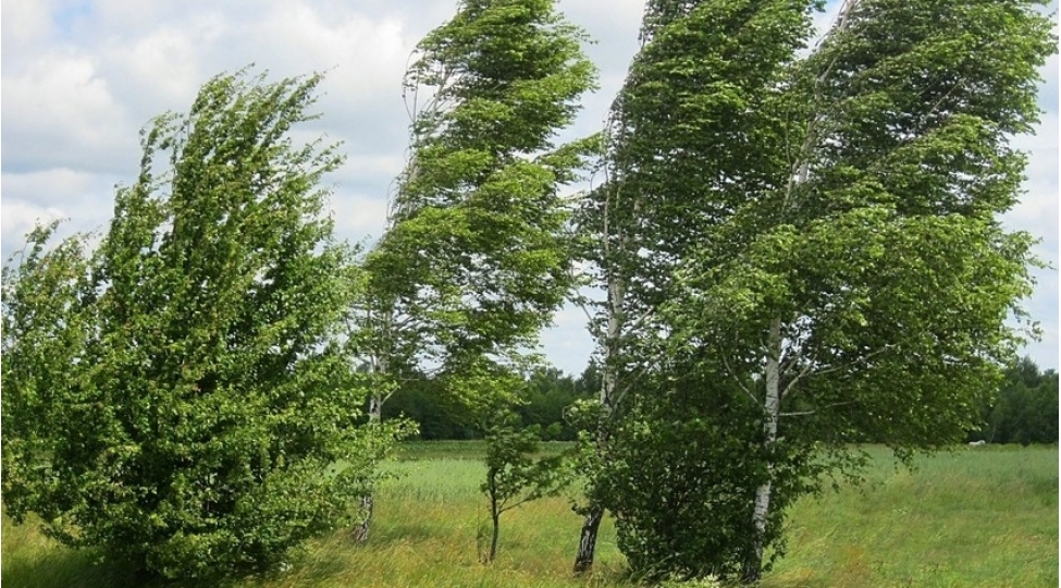 kulekli-hava-sheraiti-ile-bagli-sari-xeberdarliq-olunub