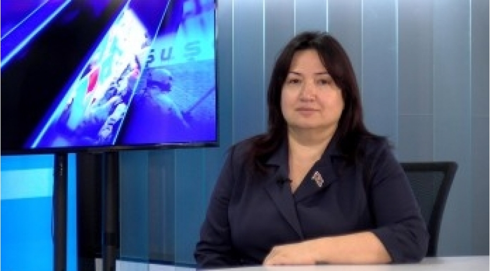 azerbaycan-macaristan-elaqeleri-strateji-terefdashliq-esasinda-inkishaf-edir