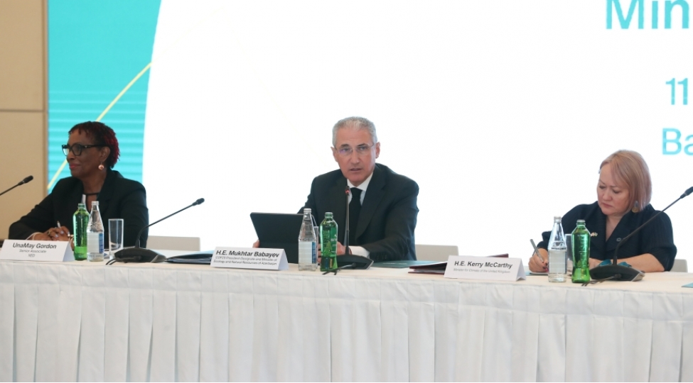 nazir-mitiqasiya-ve-uygunlashma-maliyyesinin-elchatanligini-ehemiyyetli-derecede-artirmaliyiq