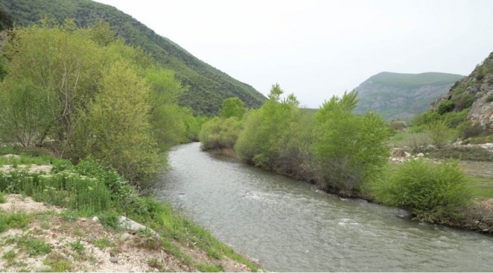 professor-bezi-chaylarda-illik-axim-hecmi-12-15-azalib