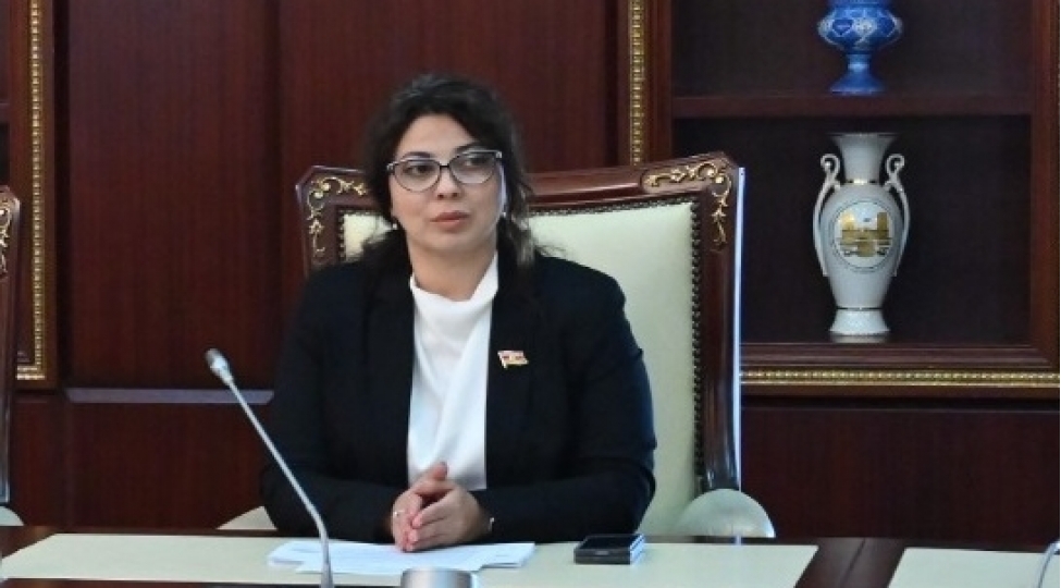 minatemizleyenlere-de-guzeshtli-menzillerin-verilmesi-teklif-edilib