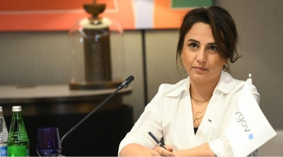 azerbaycanda-innovativ-hellerin-inkishafi-uchun-mutexessis-sayi-artirilmalidir-inare-veliyeva