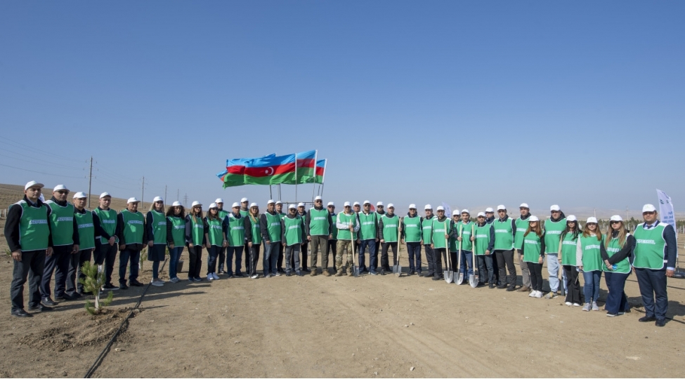 azpetrol-shirketi-agacekme-aksiyasi-kechirib
