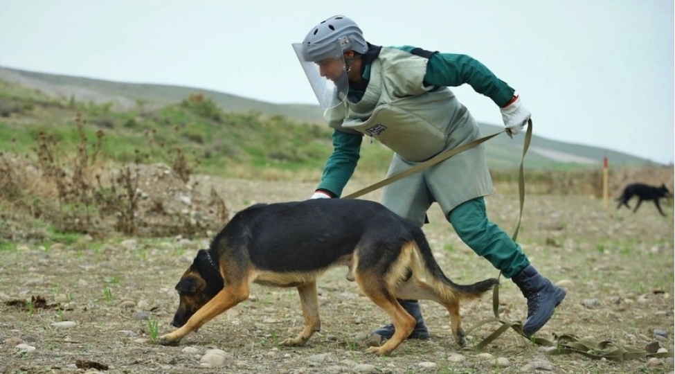anama-ya-uch-yeni-minaaxtaran-it-teqdim-olunub
