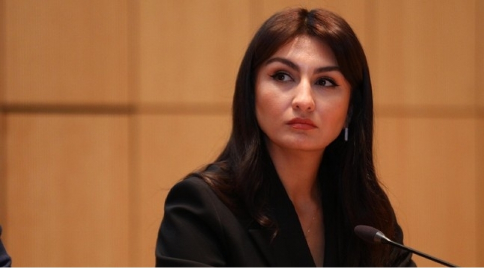 azerbaycanda-karbon-vergilerinin-geri-qaytarilmasina-yonelik-mexanizmler-hazirlanmalidir-samire-musayeva