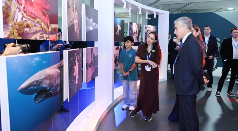 leyla-eliyeva-deniz-novlerinin-beynelxalq-mudafiesi-layihesinin-teqdimatinda-ishtirak-edib