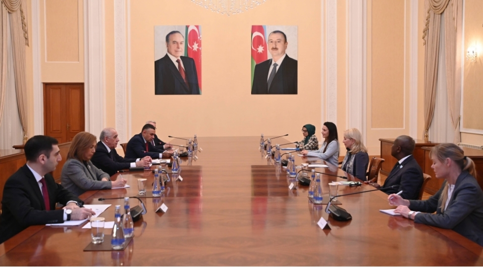 bash-nazir-eli-esedov-unicef-in-icrachi-direktoru-ile-gorushub