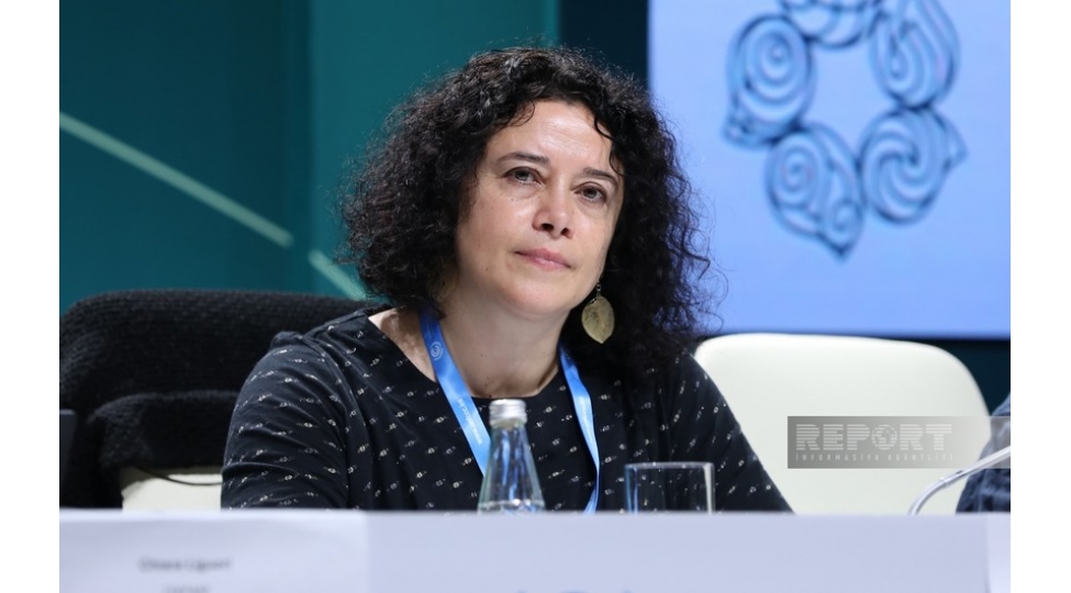 dovletler-iqlim-deyishikliyinin-menfi-tesirinin-qarshisinin-alinmasina-gore-mesuliyyet-goturmelidir