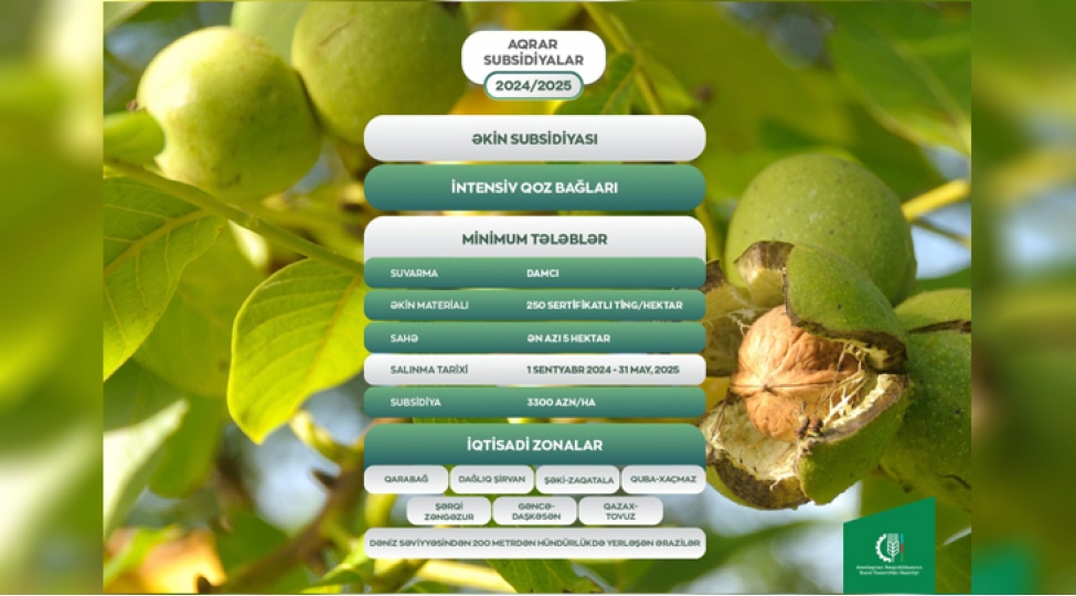 azerbaycanda-yeni-salinan-intensiv-qoz-baglarina-gore-fermere-dovlet-desteyi-verilecek