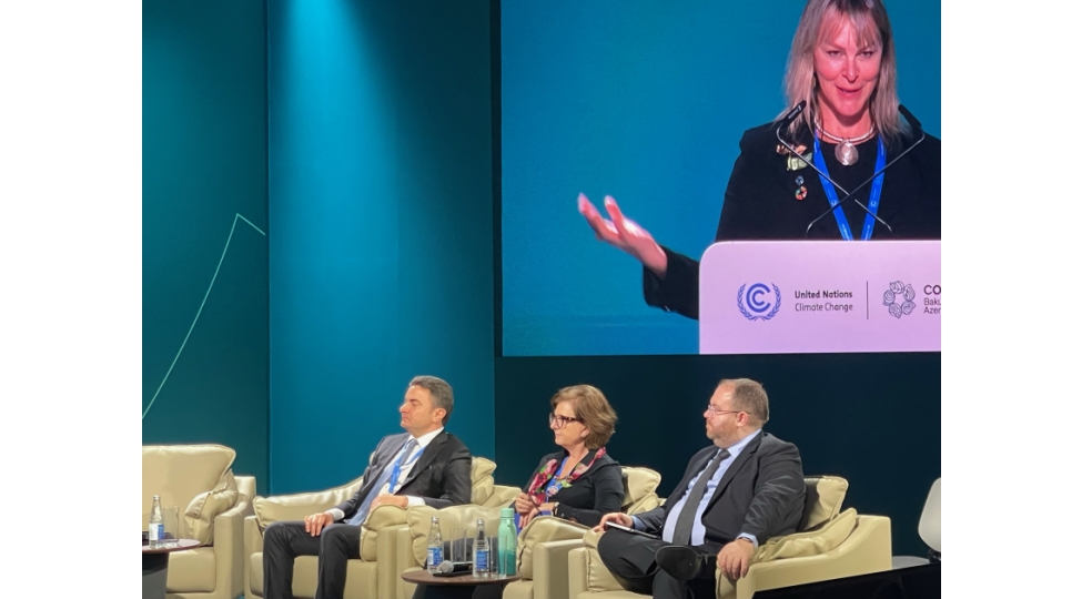 cop29-cherchivesinde-beynelxalq-aviasiya-ve-iqlim-deyishikliyi-movzusunda-panel-muzakiresi-kechirilib