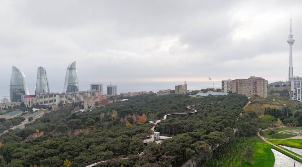 merkezi-nebatat-bagi-ve-dendrologiya-bagi-bir-qurumda-birleshdirilir