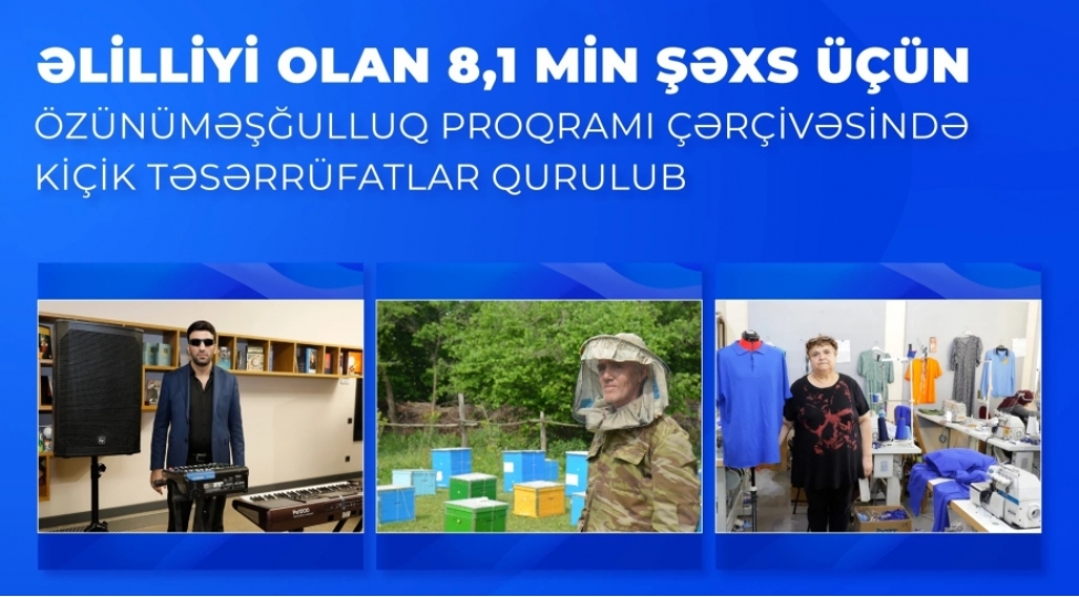 elilliyi-olan-81-min-shexs-uchun-ozunumeshgulluq-proqrami-cherchivesinde-kichik-teserrufatlar-qurulub
