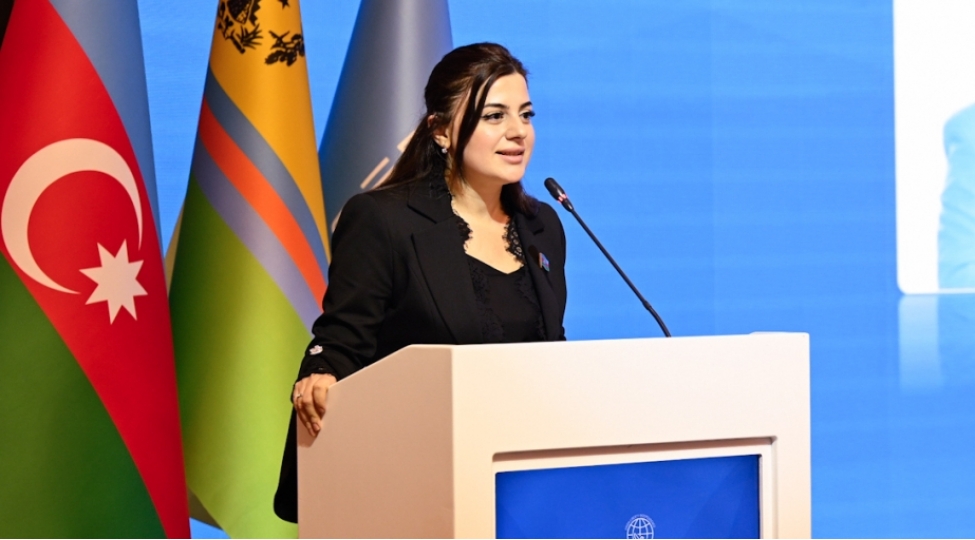 deputat-sen-martin-xalqi-fransa-niderland-muqavilesinin-neticelerinden-eziyyet-chekir