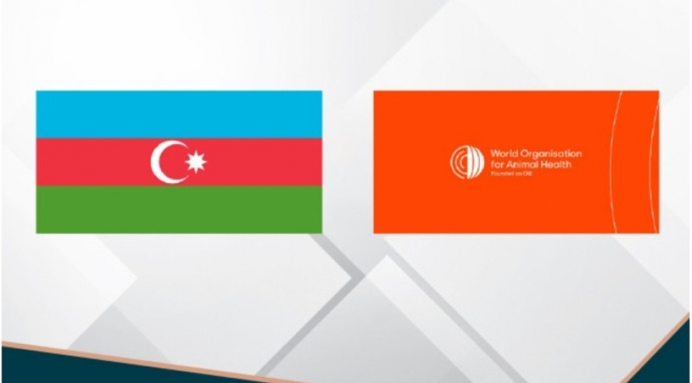 azerbaycan-uhst-nin-idareetmeye-nezaret-komitesine-uzv-sechilib