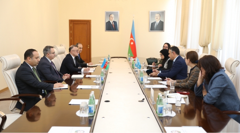 azerbaycan-ve-unicef-arasinda-emekdashligin-prioritet-istiqametleri-muzakire-edilib