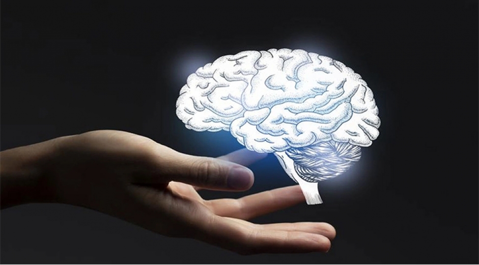 beyin-qorxu-ile-nece-mubarize-aparir