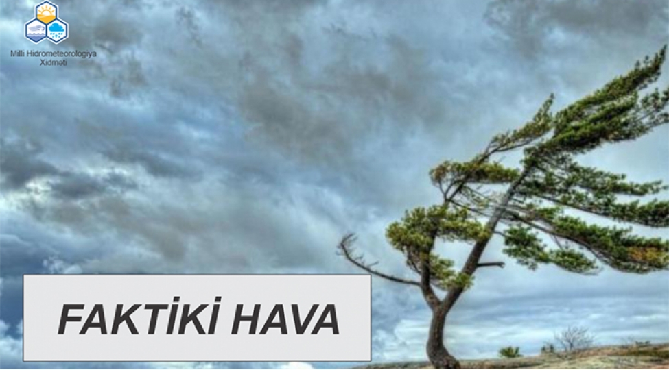 faktiki-hava-6