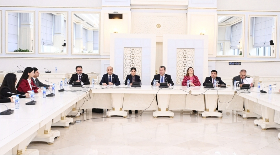 milli-meclisde-diplomatiya-konulluleri-ile-gorush-kechirilib