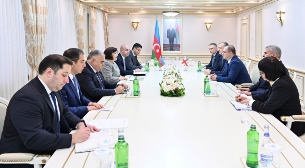 azerbaycan-ve-gurcustan-parlamentleri-arasinda-emekdashliq-meseleleri-muzakire-edilib