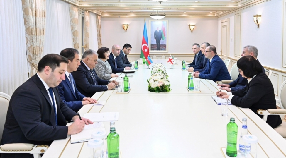 azerbaycan-ve-gurcustan-ikili-standartlara-qarshi-birge-addimlarin-vacibliyini-vurgulayiblar