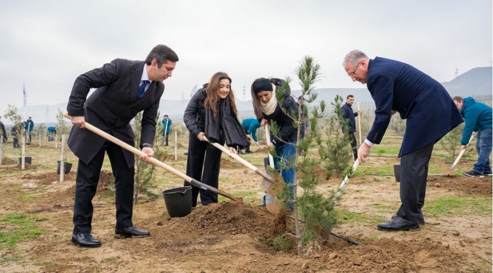 etsn-ve-azerbaycanin-cop-komandasi-agacekme-aksiyasi-kechirib