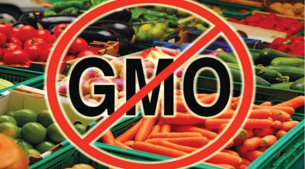 aqta-gmo-mehsullarla-bagli-sahibkarlara-xeberdarliq-edib